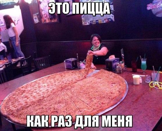     - 5  2016  14:43