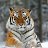 ���� Igor, �����, 48 ��� - ��������� 27 ������ 2016