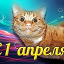 ���� ����� ��������(��������), ����-47, 64 ���� - ��������� 2 ������ 2016 � ������ �������� ��������