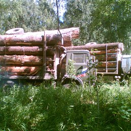 ������, �����, 57 ���