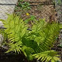 ���� ������, ���������, 65 ��� - ��������� 7 ��� 2016 � ������ ���� ����������