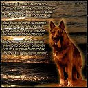 ���� ��������, ������� - ��������� 21 ���� 2016 � ������ ������ ��������