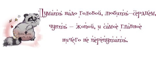  - 2  2016  13:10