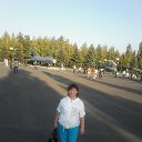  , , 61  -  31  2016    
