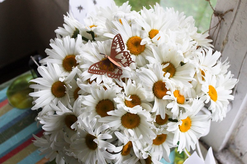 ������ ��� ������ �������! ���� ������� ������� ������, � ����� ���� ��� ���� ��� ����� �� �������� ... - 4