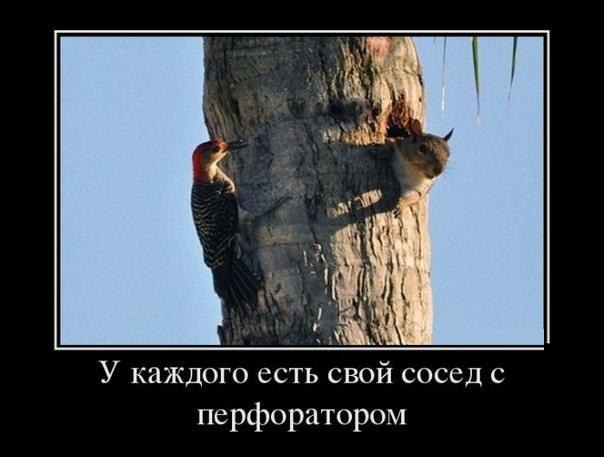 Art & Fun - 12  2016  08:04