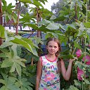  , -, 68  -  23  2016    