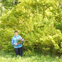 �������� �� ������� ���� �� ������� ������� 2016�