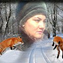 ���� �����, ������ - ��������� 24 ��� 2016 � ������ ������ - ������ �����������