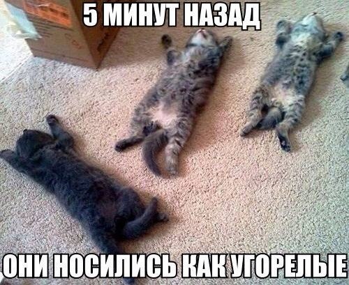 ��� ���� � ����� �� �� - 26 ����� 2016 � 05:32