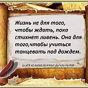 ���� ������, ���, 50 ��� - ��������� 31 ����� 2016 � ������ ������ ��������