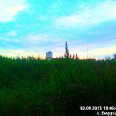  , , 31  -  31  2016   