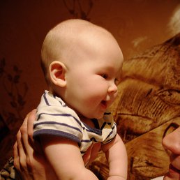 ���� �����, �����������, 46 ��� - ��������� 22 ������ 2016