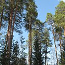 ���� �����, ������������, 45 ��� - ��������� 6 �������� 2016