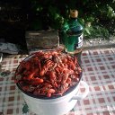  ---{S}---,  , 44  -  7  2016    