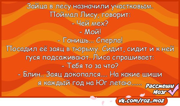    - vk.com/roz_moz