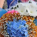 ���� Polinariya (����), ������ - ��������� 21 ���� 2016 � ������ ����� �������