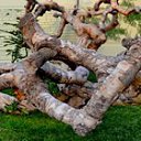  ,  -  13  2016    13 һ