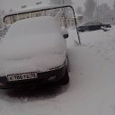 ���� ������, ������������, 55 ��� - ��������� 10 ���� 2016 � ������ ����� 2016�