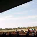 ���� �����, ���������, 77 ��� - ��������� 14 ������ 2016 � ������ ������� - �� - ����
