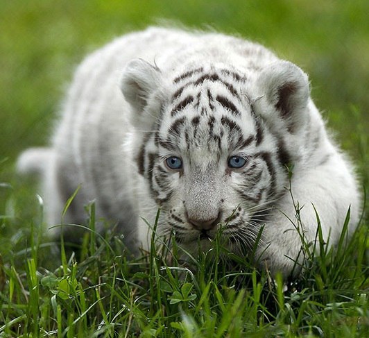   - 31  2016  00:05 - 2