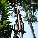  ,  -  2  2016   , ,  2016 .