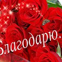 ���� ��������, ��������, 61 ��� - ��������� 11 ������ 2016 � ������ ���� ����������