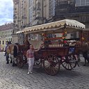 ���� �����, ������ - ��������� 30 ������� 2016 � ������ ������ ��������