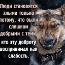 ���� �������, �������� - ��������� 30 ��� 2016 � ������ ���� ����������