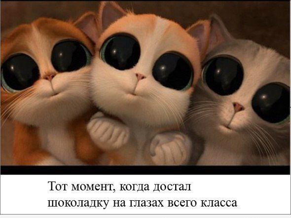 ? ,  ! - 19  2016  02:27