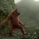 ���� �������, �������, 39 ��� - ��������� 23 ������ 2016 � ������ ���� ����������