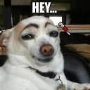 ���� �������, �����, 50 ��� - ��������� 17 ���� 2016 � ������ ���� ����������