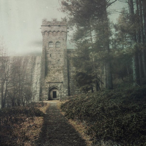 ,  Dark Souls,    . - 5