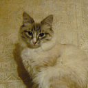 ���� Nikolai, ������ - ��������� 15 ���� 2016 � ������ ���� ����������