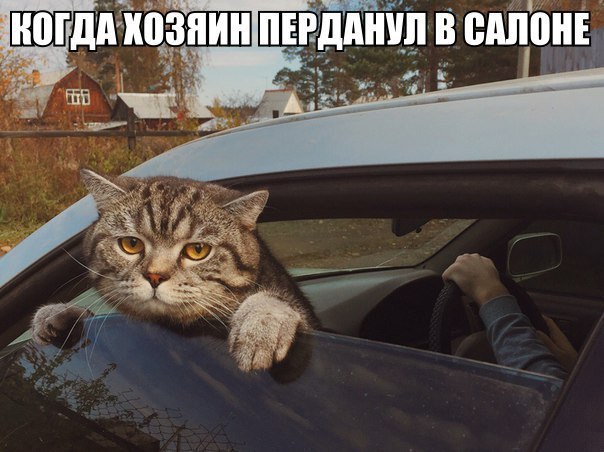  - 19  2016  20:27