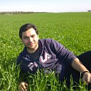  Anas Dahabra, , 35  -  13  2016   2016
