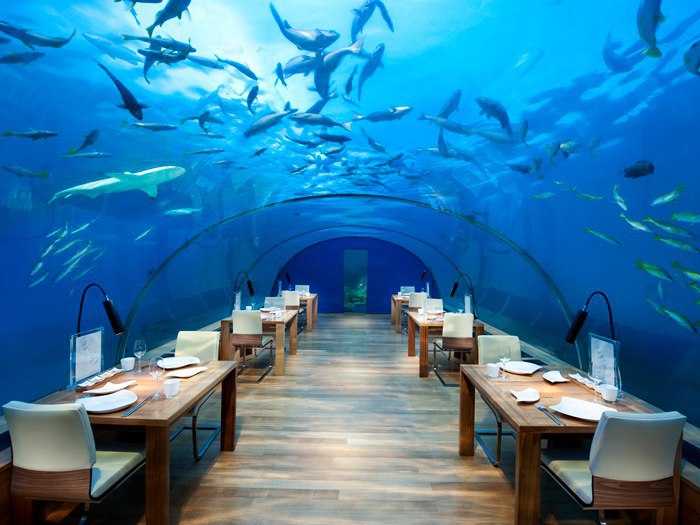 Ithaa Undersea Restaurant.,    5   .   ... - 2