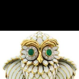 ����, ����������, 41 ���