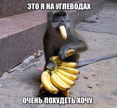    |   - 25  2016  15:01
