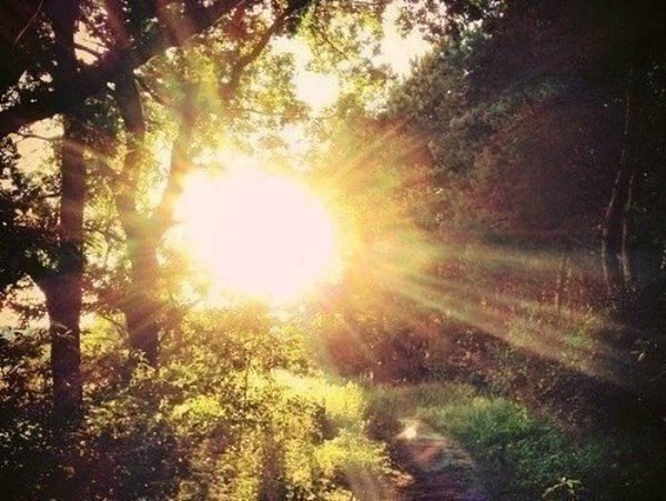 Удивительно, что может сделать один луч солнца с душой человека. Ф. М. Достоевский - 2