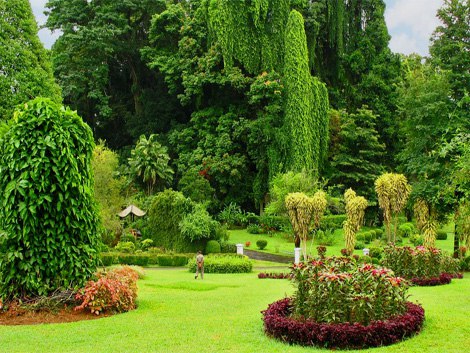 Королевский Ботанический Сад (Royal Botanical Garden) в Перадении один из лучших в Азии. Созданный в ... - 3