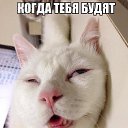 ���� ���, �����-���������, 40 ��� - ��������� 15 ���� 2016 � ������ ������ ��������