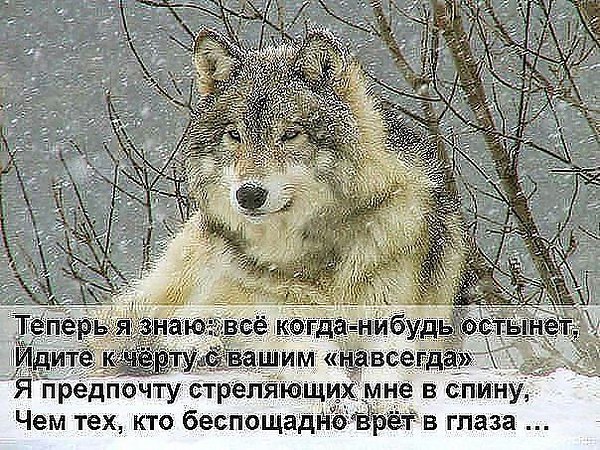 :     ,    ! - 2
