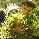 �� �������� �� ������� ���� ����������