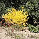  , , 60  -  5  2016     ,03.04.16.