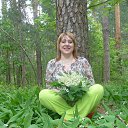  ,  -  24  2016   ,,   ...