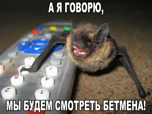    ! <a href=