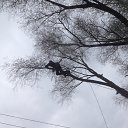 ���� ���������, ���������, 34 ���� - ��������� 29 ������ 2016 � ������ ������ ��������