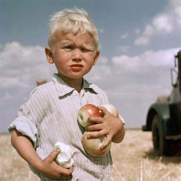 Дааа... Детство круто изменилось. Раньше у соседей яблоки воровали, а теперь WI-FI.