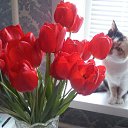  Irina, , 54  -  18  2016   *My flowers*